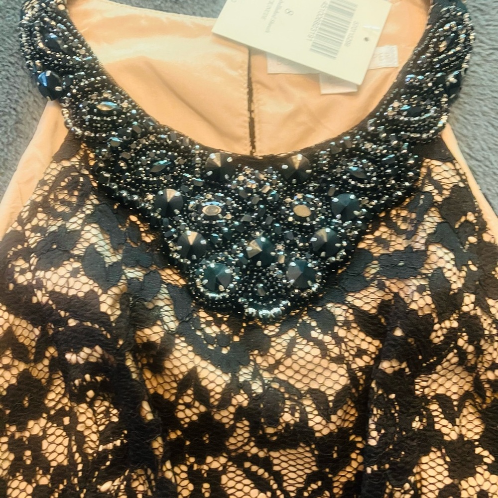 Boston Proper Black and Nude Lace embellished  sheath Dress